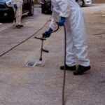Come eliminare le blatte in casa: guida completa alla deblattizzazione