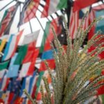 Lavorare alla FAO: Un Mondo di opportunità
